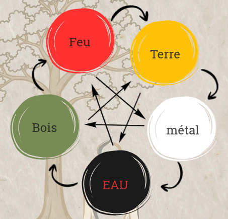 Cycle Sheng et cycle Ke entre les 5 mouvements : Bois, Feu, Terre, Métal, Eau