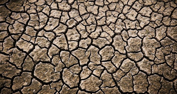La canicule en médecine chinoise