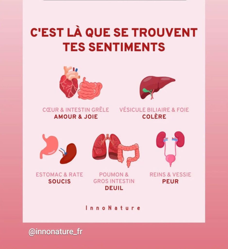 Illustration des méridiens énergétiques en médecine chinoise